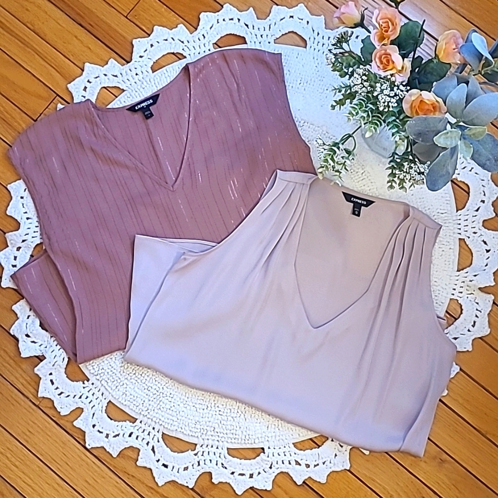EXPRESS Pink V-Neck Top Combo, Size Small & XSmall